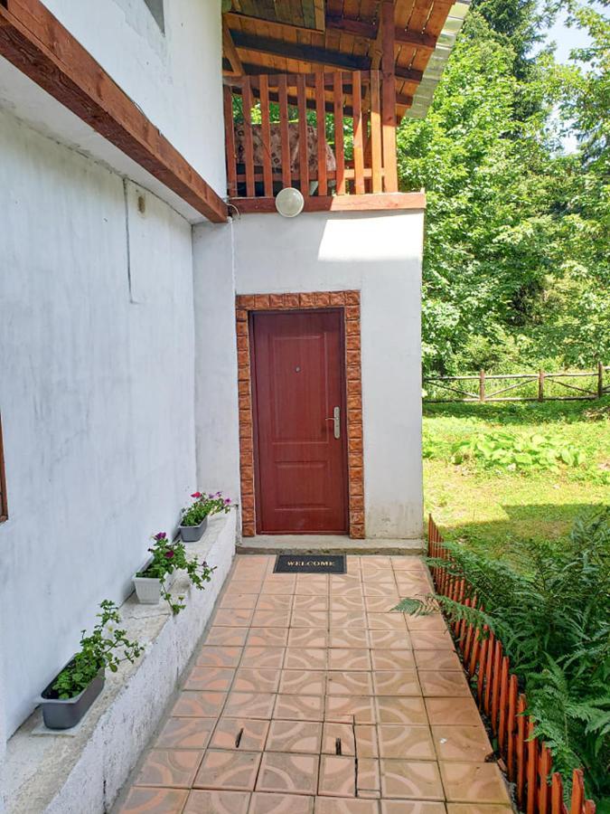 Guest Rooms- Klepalski House Borovets Ngoại thất bức ảnh