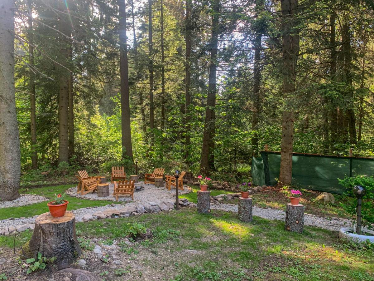 Guest Rooms- Klepalski House Borovets Ngoại thất bức ảnh