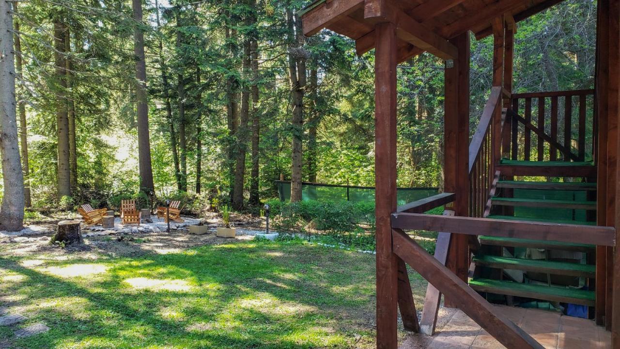 Guest Rooms- Klepalski House Borovets Ngoại thất bức ảnh