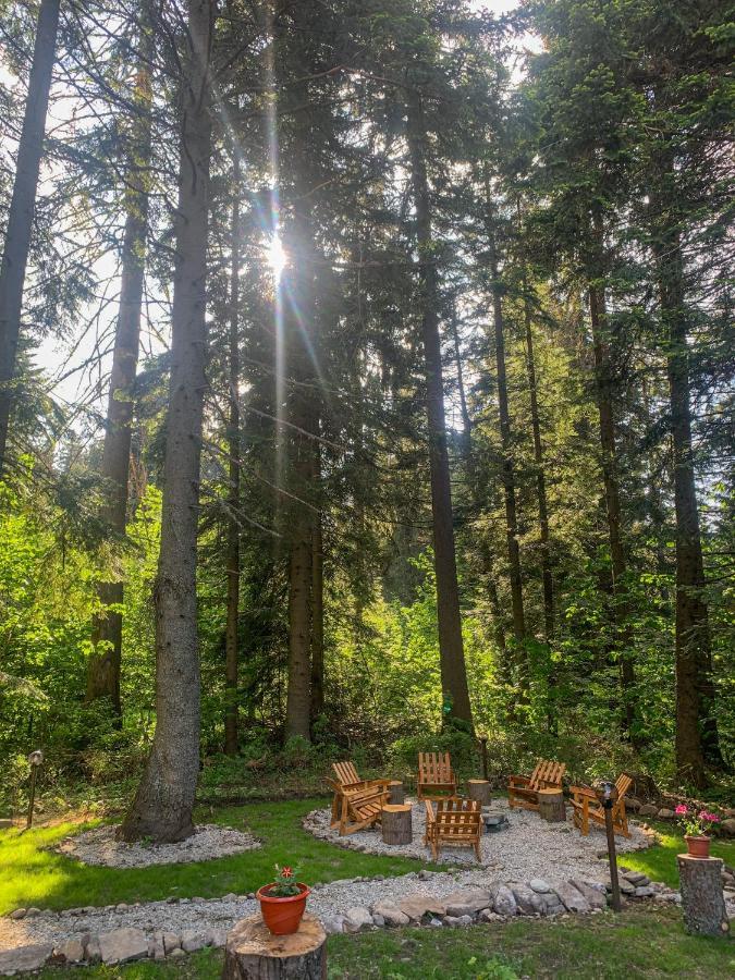 Guest Rooms- Klepalski House Borovets Ngoại thất bức ảnh