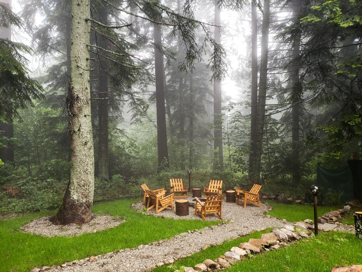 Guest Rooms- Klepalski House Borovets Ngoại thất bức ảnh